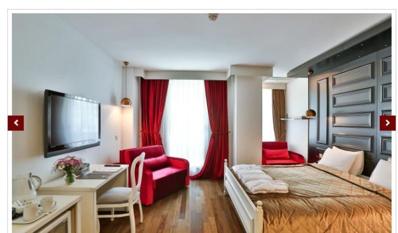 Senatus Hotel - Special Class Istanboel Buitenkant foto